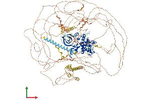 Protein Structure (PS) image for Cyclin-Dependent Kinase 13 (CDK13) (AA 1-1511) protein (His tag) (ABIN7564017)