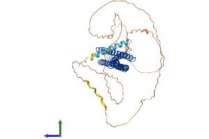 AlphaFold protein structure predicition of Mouse Recombinant Bin2 Protein, UniprotID D3Z6Q9