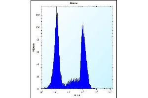 Flow Cytometry (FACS) image for anti-Olfactory Receptor, Family 10, Subfamily G, Member 9 (OR10G9) (AA 211-239) antibody (ABIN656933)