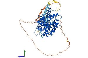 AlphaFold protein structure predicition of Human Recombinant NR1H3 Protein, UniprotID Q13133