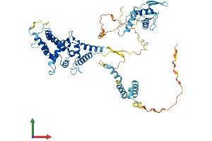 AlphaFold protein structure predicition of Human Recombinant DEPDC1B Protein, UniprotID Q8WUY9