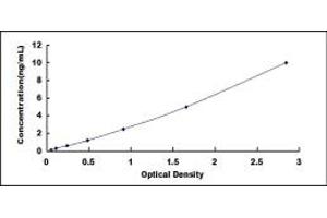 Typical standard curve (Metabotropic Glutamate Receptor 1 ELISA 试剂盒)