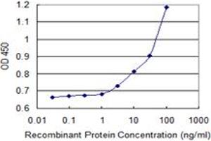 Detection limit for recombinant GST tagged ALDH3B1 is 1 ng/ml as a capture antibody. (ALDH3B1 抗体  (AA 1-468))