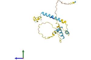 AlphaFold protein structure predicition of Human Recombinant FAM228A Protein, UniprotID Q86W67
