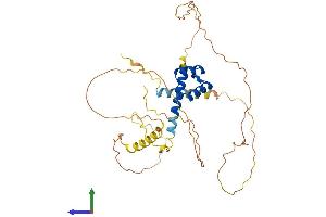 Protein Structure (PS) image for NK2 Homeobox 3 (NKX2-3) (AA 1-364) protein (His tag) (ABIN7549765)