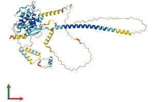 AlphaFold protein structure predicition of Human Recombinant FAM227A Protein, UniprotID F5H4B4