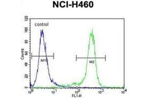 Flow Cytometry (FACS) image for anti-Nibrin (NBN) (AA 609-638), (C-Term) antibody (ABIN953701)
