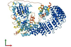 Protein Structure (PS) image for NLR Family, Pyrin Domain Containing 12 (NLRP12) (AA 1-1061) protein (His tag) (ABIN7554686)