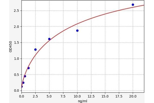 Calpain 6 ELISA 试剂盒