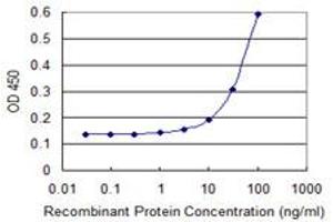 Detection limit for recombinant GST tagged CDK4 is 3 ng/ml as a capture antibody. (CDK4 抗体  (AA 1-303))
