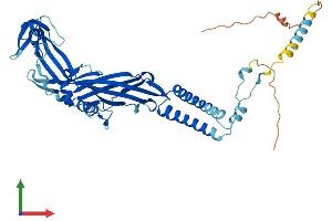 AlphaFold protein structure predicition of Human Recombinant P2RX6 Protein, UniprotID O15547