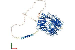 Protein Structure (PS) image for Dipeptidyl-Peptidase 6 (DPP6) (AA 1-865) protein (His tag) (ABIN7553741)
