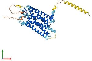 AlphaFold protein structure predicition of Mouse Recombinant Sstr2 Protein, UniprotID P30875