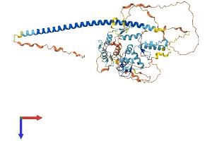 ZNF398 Protein (AA 1-642) (His tag)