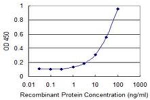 Detection limit for recombinant GST tagged LHX9 is 0. (LHX9 抗体  (AA 1-85))