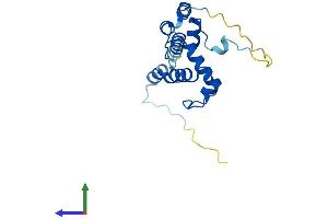 Protein Structure (PS) image for Nucleolar Protein 16 (NOP16) (AA 1-178) protein (His tag) (ABIN7560479)