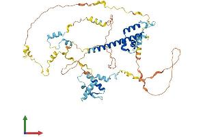 AlphaFold protein structure predicition of Human Recombinant REC8 Protein, UniprotID O95072