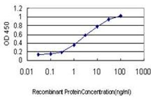 ELISA image for anti-Interferon Regulatory Factor 2 (IRF2) (AA 216-316) antibody (ABIN598766) (IRF2 抗体  (AA 216-316))