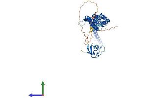 Protein Structure (PS) image for Protein Kinase C and Casein Kinase Substrate in Neurons 3 (PACSIN3) (AA 1-424) protein (His tag) (ABIN7550339)
