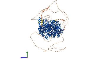 Protein Structure (PS) image for Histone Deacetylase 6 (HDAC6) (AA 1-1215) protein (His tag) (ABIN7554066)