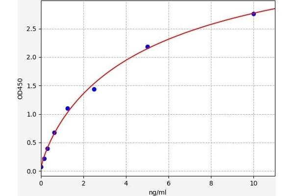 Ubiquilin 1 ELISA 试剂盒