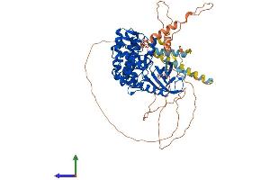 Protein Structure (PS) image for SRSF Protein Kinase 1 (SRPK1) (AA 1-655) protein (His tag) (ABIN7555649)