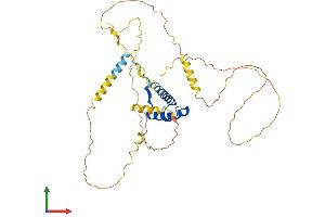 Protein Structure (PS) image for NK2 Homeobox 3 (NKX2-3) (AA 1-362) protein (His tag) (ABIN7556785)