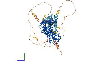 AlphaFold protein structure predicition of Mouse Recombinant Ngef Protein, UniprotID Q8CHT1