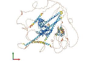 AlphaFold protein structure predicition of Human Recombinant NEK1 Protein, UniprotID Q96PY6
