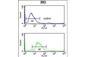 Flow cytometry analysis of 293 cells (bottom histogram) compared to a negative control cell (top histogram).