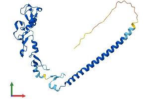 Protein Structure (PS) image for Ring Finger Protein 151 (RNF151) (AA 1-245) protein (His tag) (ABIN7551491)