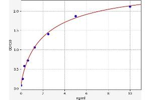 Typical standard curve (SERPINA11 ELISA 试剂盒)
