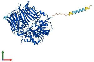 Protein Structure (PS) image for Fibroblast Activation Protein, alpha (FAP) (AA 1-761) protein (His tag) (ABIN7563542)