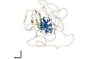 AlphaFold protein structure predicition of Mouse Recombinant Nr3c2 Protein, UniprotID Q8VII8