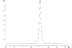 Size-exclusion chromatography-High Pressure Liquid Chromatography (SEC-HPLC) image for Triggering Receptor Expressed On Myeloid Cells 1 (TREM1) (AA 21-201) protein (His tag) (ABIN7275785)