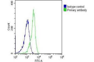 Overlay histogram showing HL-60 cells stained with B(green line). (ALDOC 抗体)