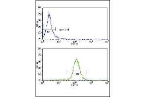 ABCG1 Antibody (Center) (ABIN390433 and ABIN2840818) flow cytometry analysis of HepG2 cells (bottom histogram) compared to a negative control cell (top histogram).