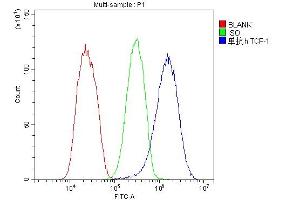 Flow Cytometry analysis of HepG2 cells using anti-TCP1 alpha antibody (ABIN5693078). (TCP1 alpha/CCTA 抗体  (C-Term))