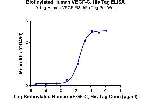 Vascular Endothelial Growth Factor C (VEGFC) (AA 103-227) protein (His-Avi Tag,Biotin)