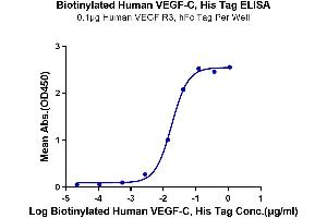 Immobilized Human VEGF R3, hFc Tag at 1 μg/mL (100 μL/well) on the plate. (VEGFC Protein (AA 103-227) (His-Avi Tag,Biotin))
