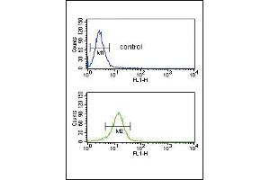COL5A2 Antibody (N-term) (ABIN391537 and ABIN2841488) flow cytometric analysis of NCI- cells (bottom histogram) compared to a negative control cell (top histogram). (COL5A2 抗体  (N-Term))