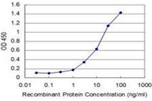 Detection limit for recombinant GST tagged FGF8 is approximately 0. (FGF8 抗体  (AA 65-133))