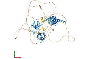 AlphaFold protein structure predicition of Human Recombinant APBA2 Protein, UniprotID Q99767
