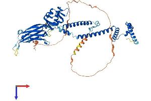 SMARCD1 Protein (AA 1-515) (His tag)