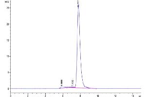 The purity of Mouse LRRC15 is greater than 95 % as determined by SEC-HPLC.