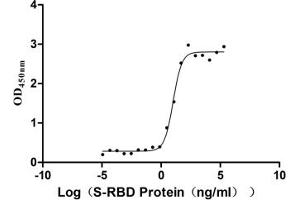 Activity: Measured by its binding ability in a functional ELISA. (SARS-CoV-2 Spike S1 Protein (RBD) (His tag,Fc Tag))