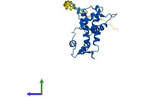 Protein Structure (PS) image for Myosin Light Chain 4, Alkali, Atrial, Embryonic (MYL4) (AA 1-197) protein (His tag) (ABIN7549662)