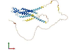 Protein Structure (PS) image for Gap Junction Protein, alpha 5, 40kDa (GJA5) (AA 1-358) protein (His tag) (ABIN7556857)