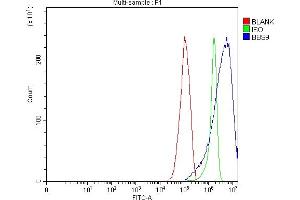 Flow Cytometry analysis of RT4 cells using anti-BBS9 antibody (ABIN7601518). (BBS9 抗体  (AA 37-793))