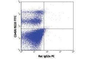 Flow Cytometry (FACS) image for anti-Fms-Related tyrosine Kinase 3 (FLT3) antibody (PE) (ABIN2663014) (FLT3 抗体  (PE))